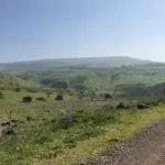 תמונת לקוח